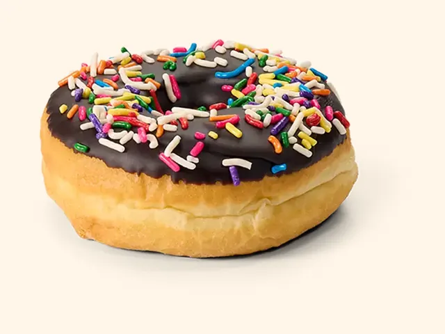Wawa Chocolate Frosted Donut with Sprinkles