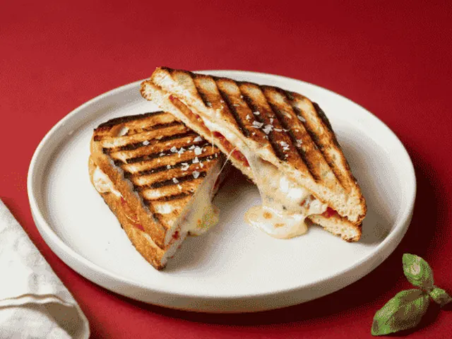 Wawa Grilled Cheese Panini