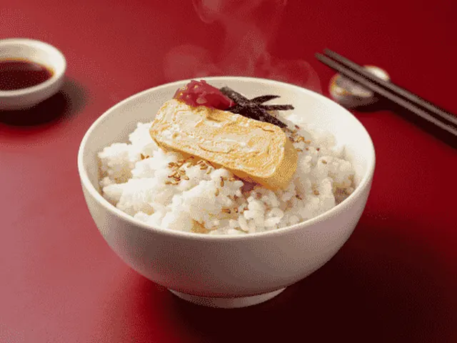 Wawa Rice Bowl
