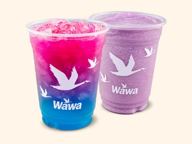 Wawa The Galaxy Recharger