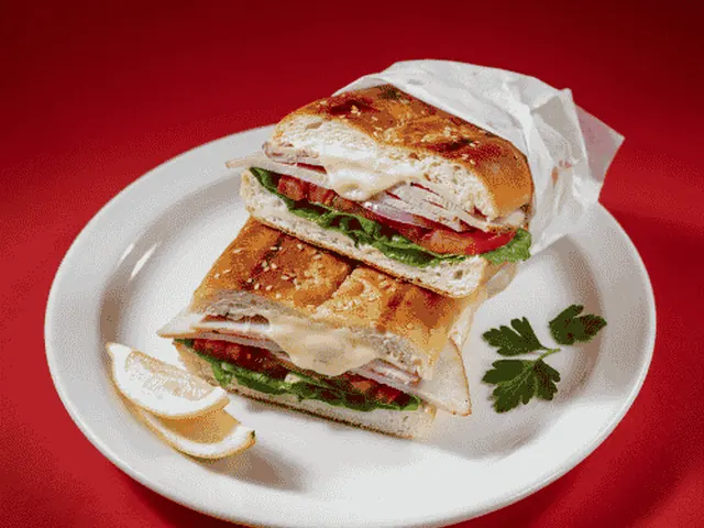 Wawa Turkey Junior Hoagie